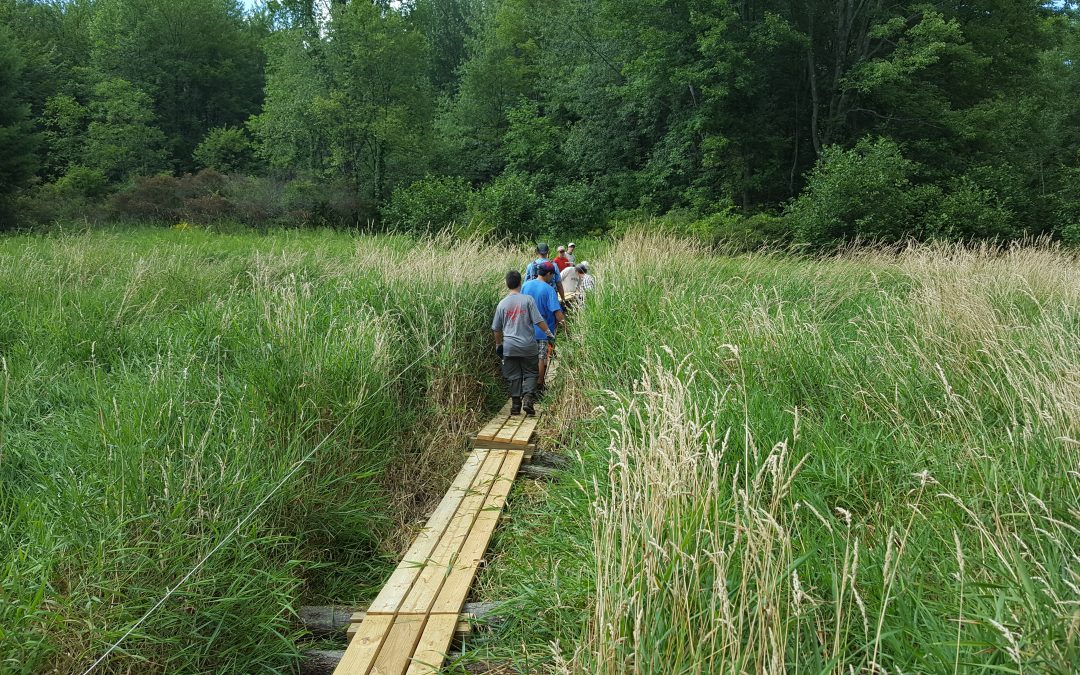 Eagle Scout Project to Establish a New Hiking Trail